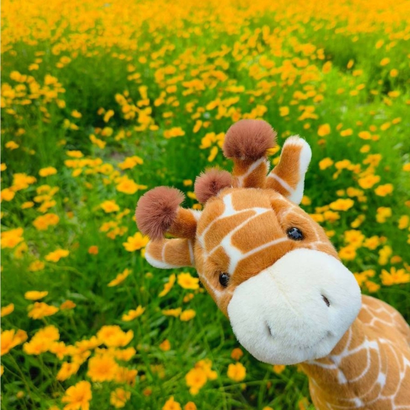 Very Soft Giraffe Plush Toy Fo - огляд і ціна Kids Toys Very