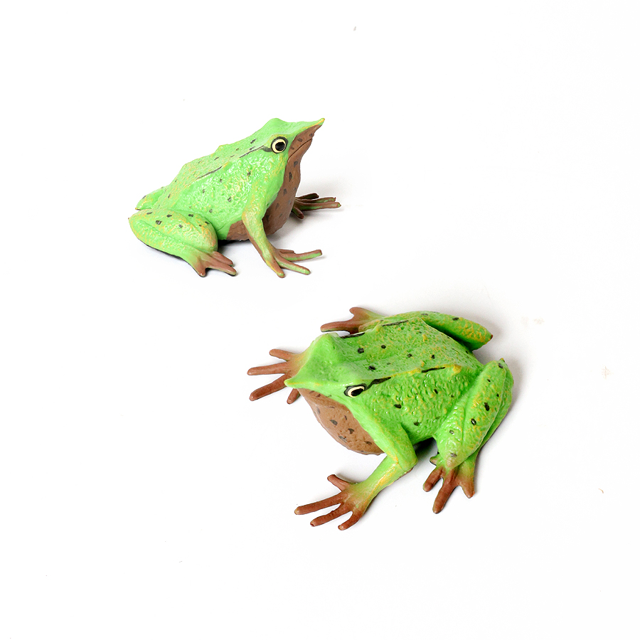 Rainforest Animals Frogs Figur - огляд і ціна Kids Toys Reviews
