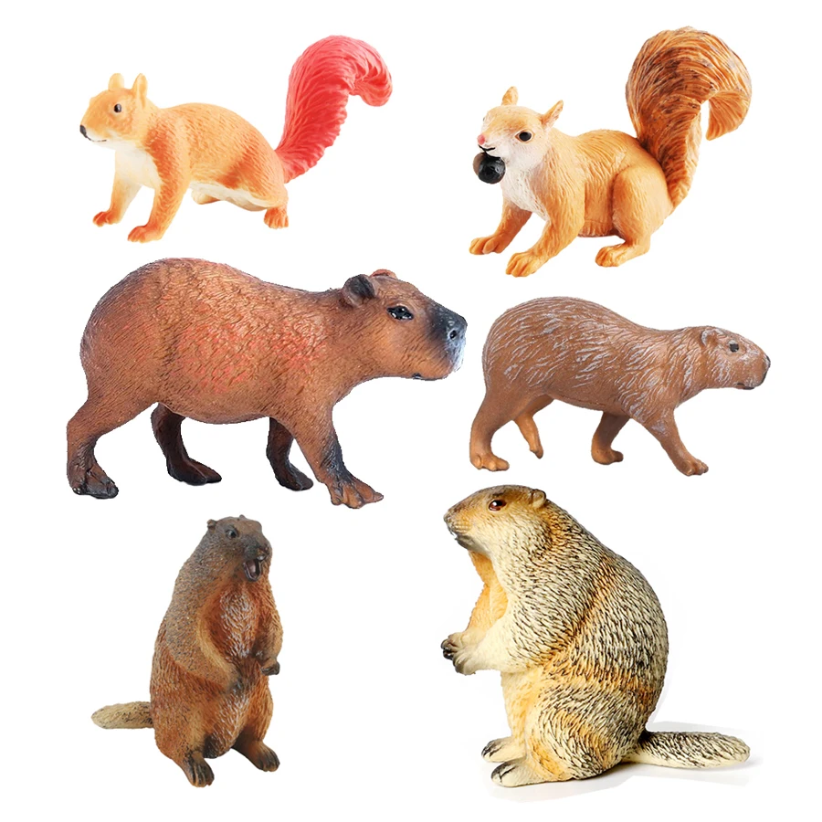 Capibara Capybaras Squirrel Ma - огляд і ціна Kids Toys Reviews