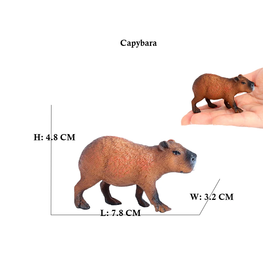 Capibara Capybaras Squirrel Ma - огляд і ціна Kids Toys Reviews