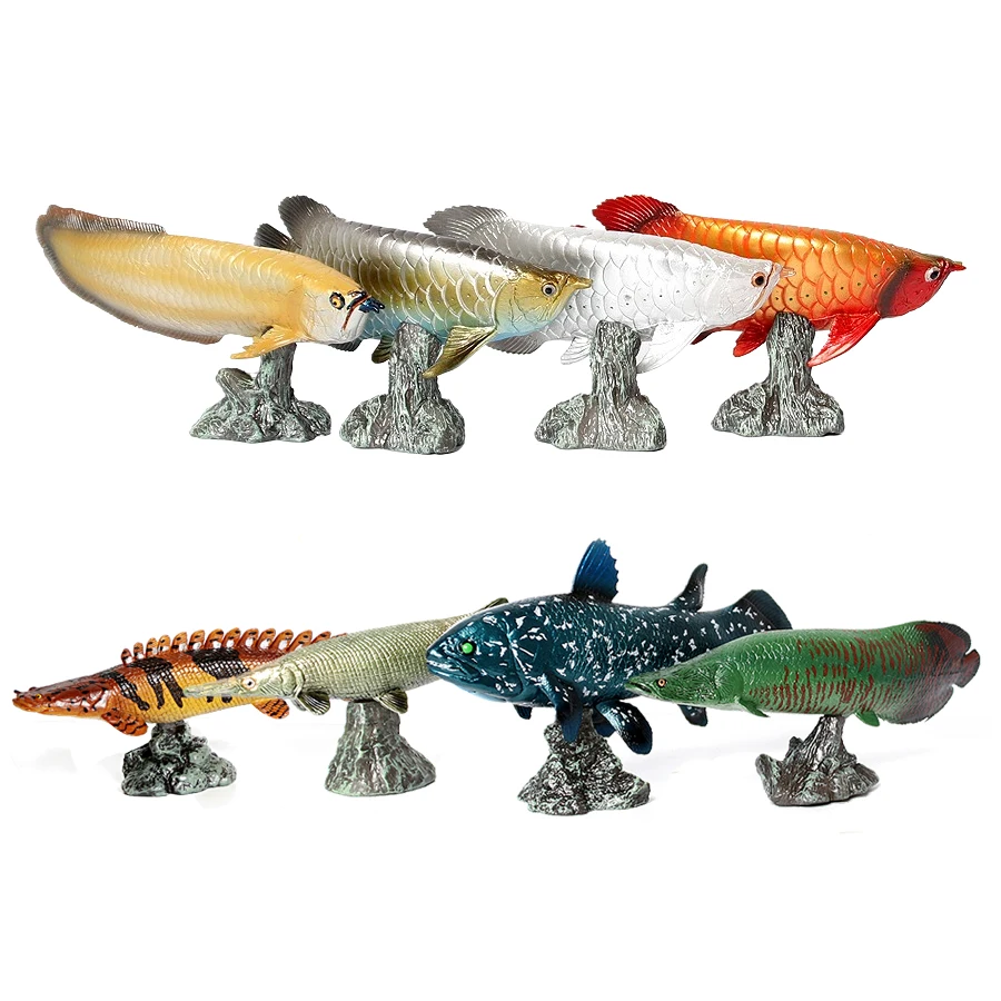 Arowana Pirarucu Coelacanth Bi - огляд і ціна Kids Toys Reviews
