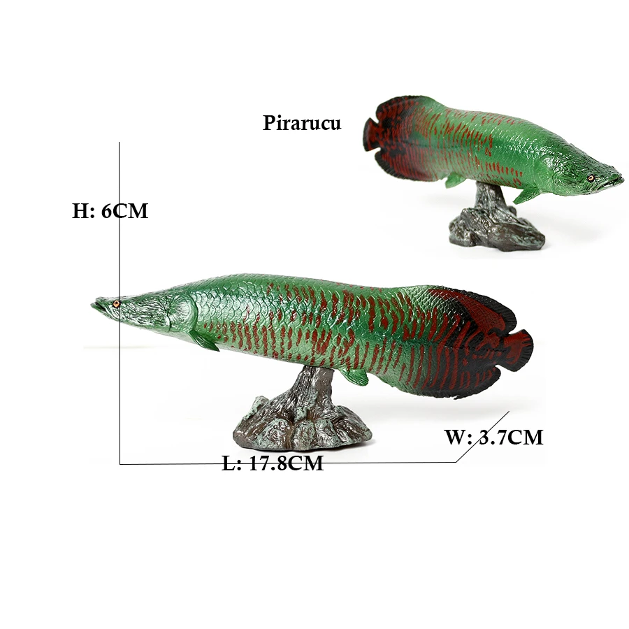 Arowana Pirarucu Coelacanth Bi - огляд і ціна Kids Toys Reviews